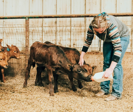 Handling Orphan Livestock